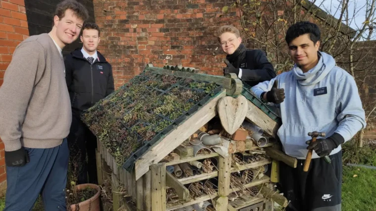 Bug hotel roof sorted out