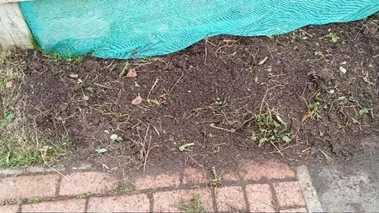 Working hard at the Community Garden